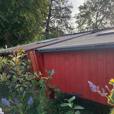 La Faloise Kamp alanı Angicourt